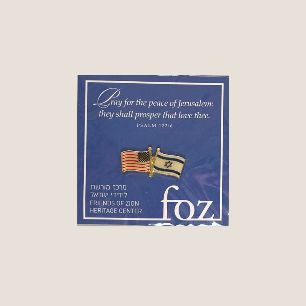 'Friends of Zion' Connection Pin