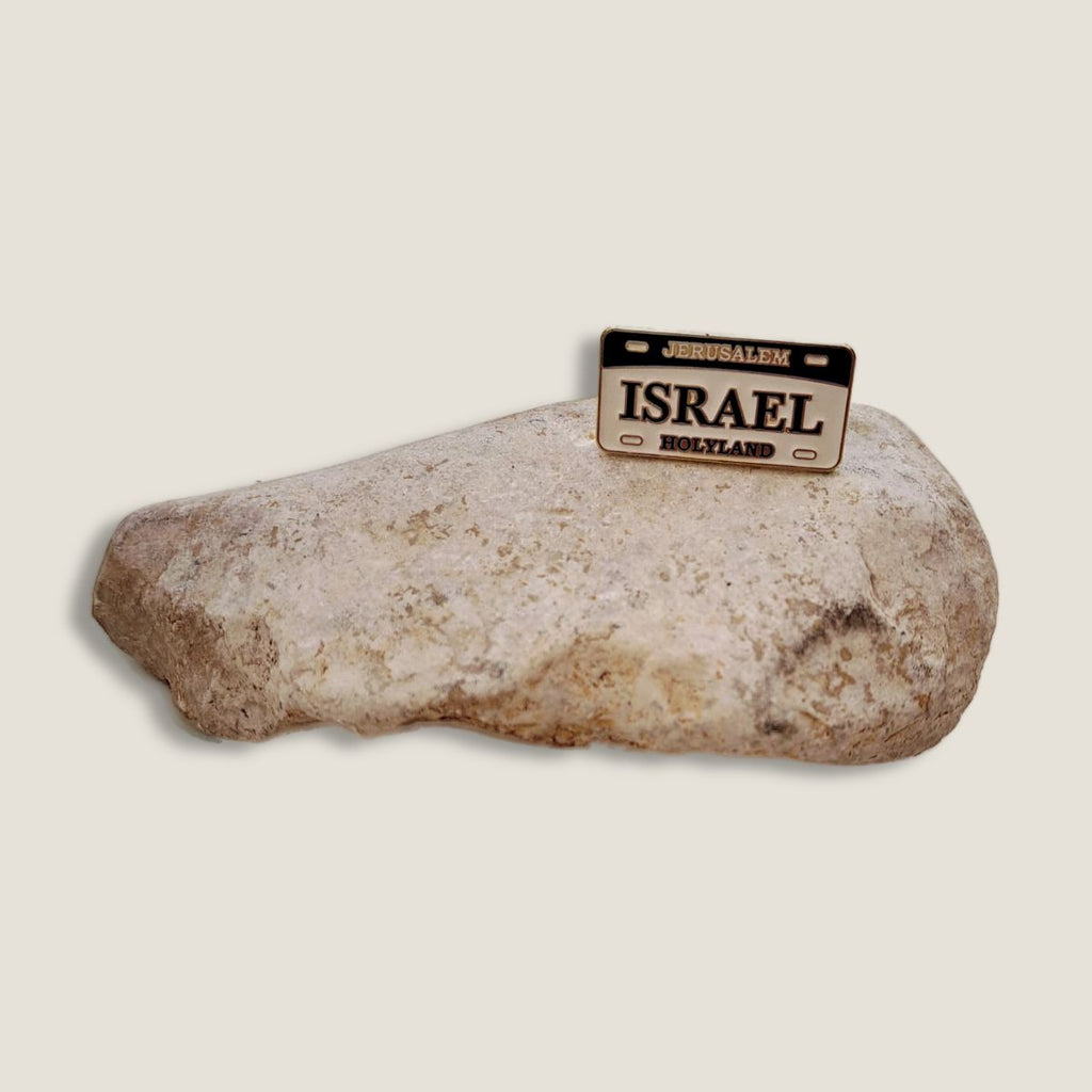 'Friends of Zion' Decorative Pin | Israel