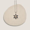 Star Of David - Magen David with Lion  Necklace | Gold 9K
