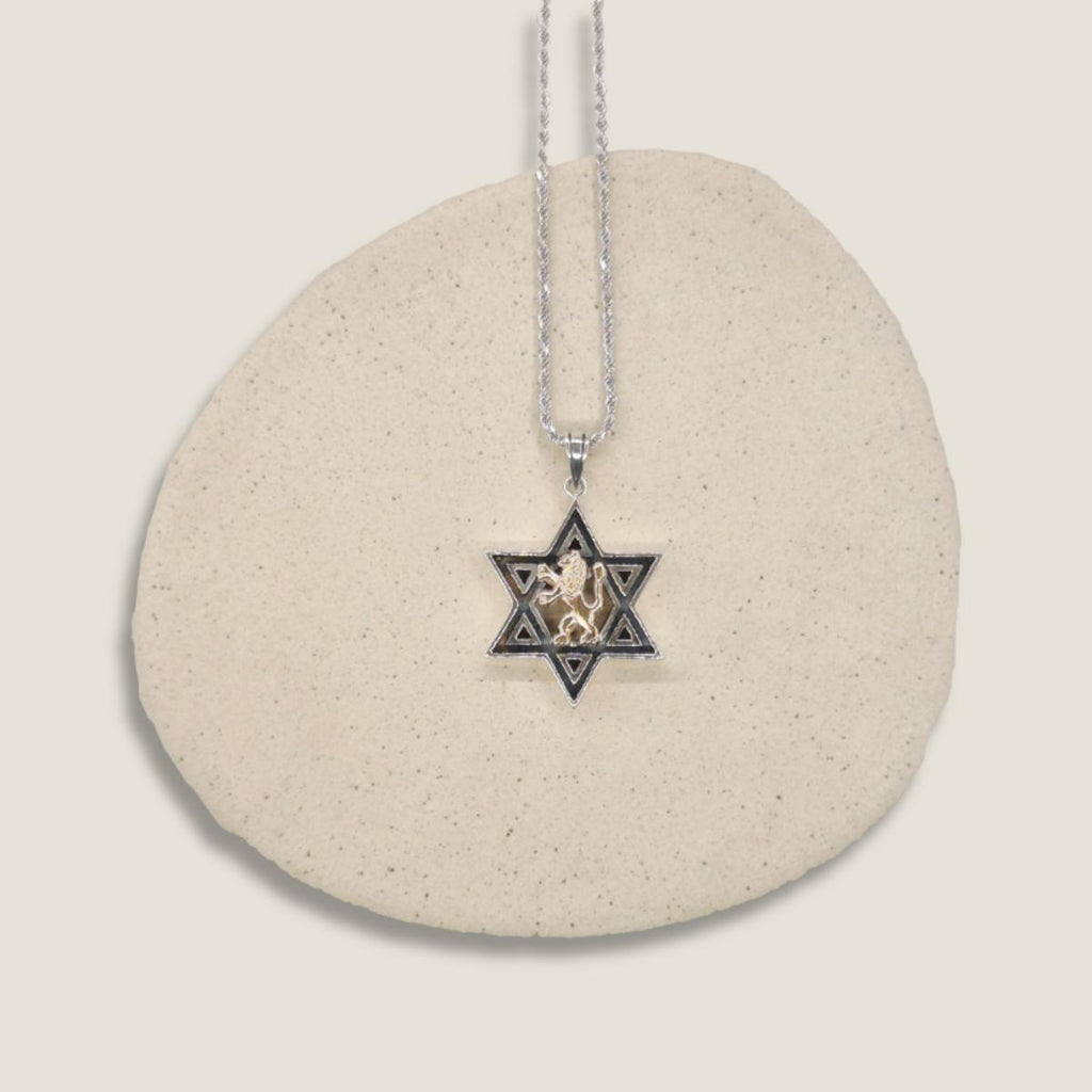 Star Of David - Magen David with Lion  Necklace | Gold 9K