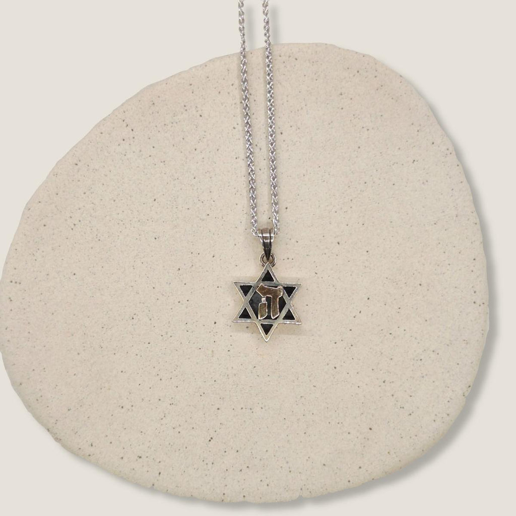 Star Of David - Magen David with letter ה Necklace | Silver and 9K Gold