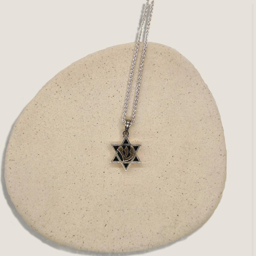 Star Of David - Magen David with letter ש Necklace | Silver and 9K Gold