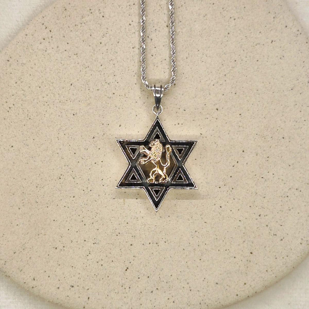 Star Of David - Magen David with Lion  Necklace | Gold 9K