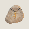 Map of Israel Necklace | Gold