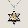 Magen David with Lion of Judah Necklace 925 Silver and Gold | Rafael Jewelry