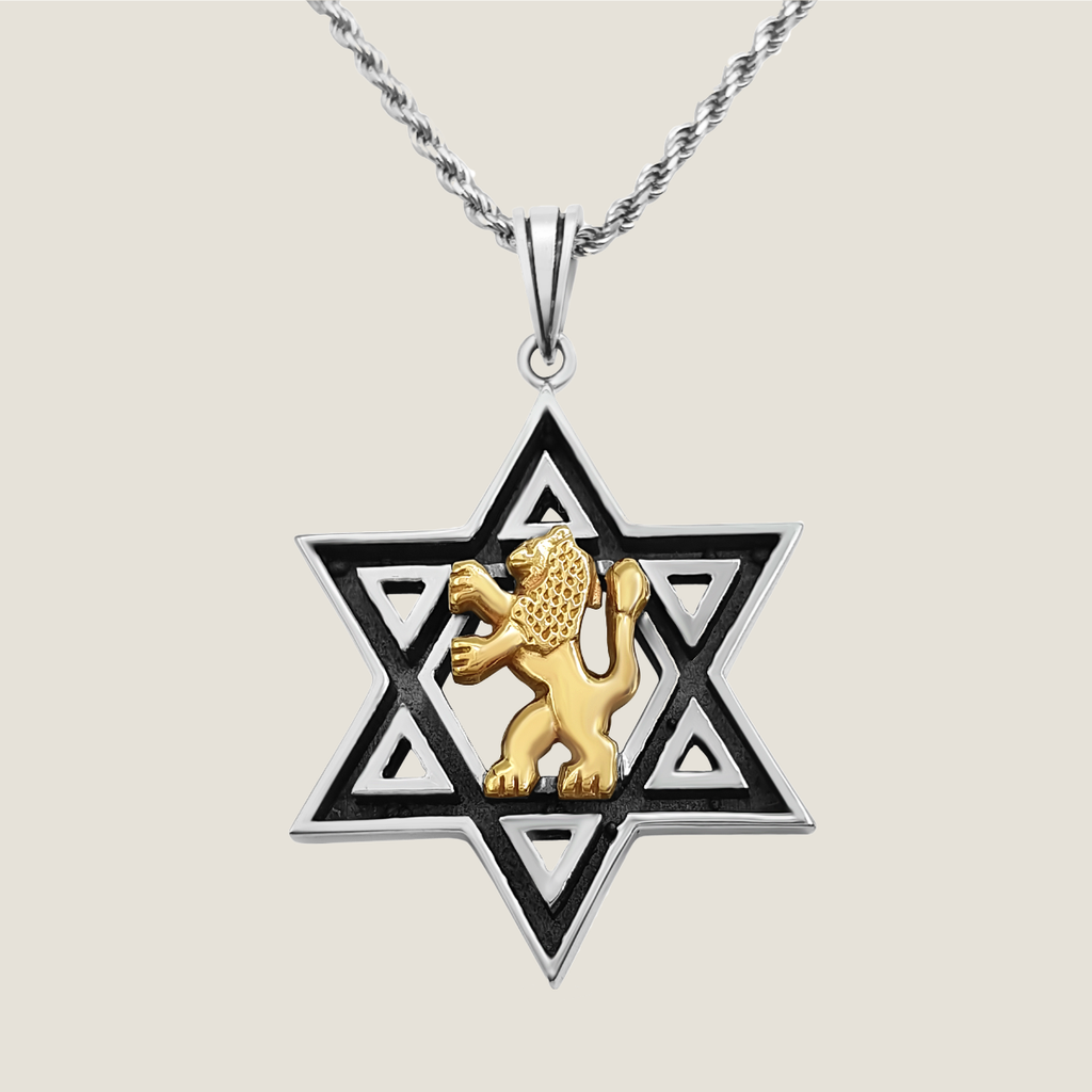 Magen David with Lion of Judah Necklace 925 Silver and Gold | Rafael Jewelry